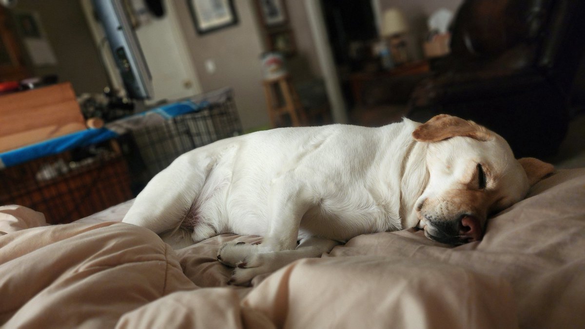 My boy is looking so sweet!!