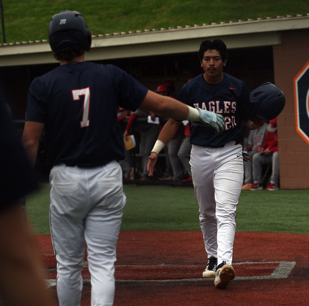 Carson-Newman Athletics tweet media