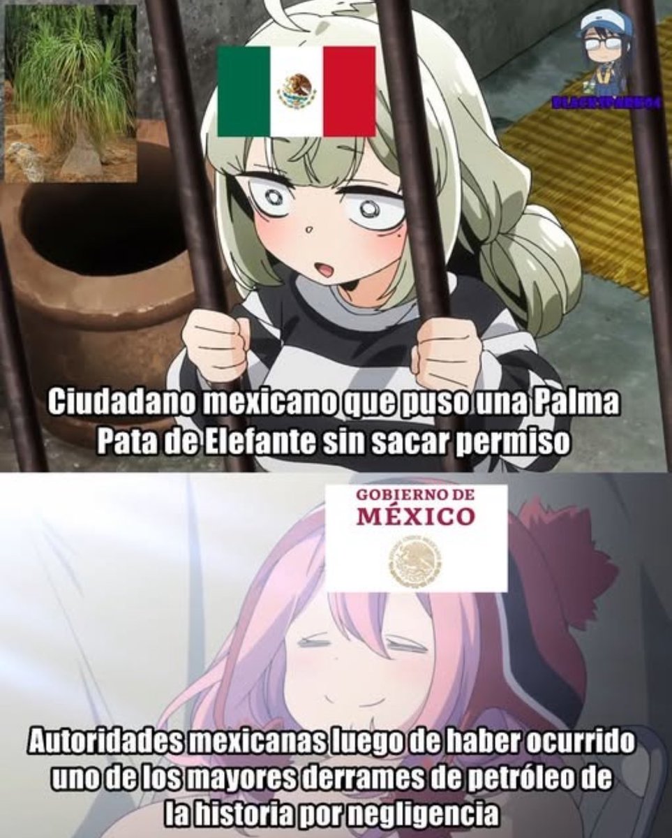 Den de la fuente tweet media