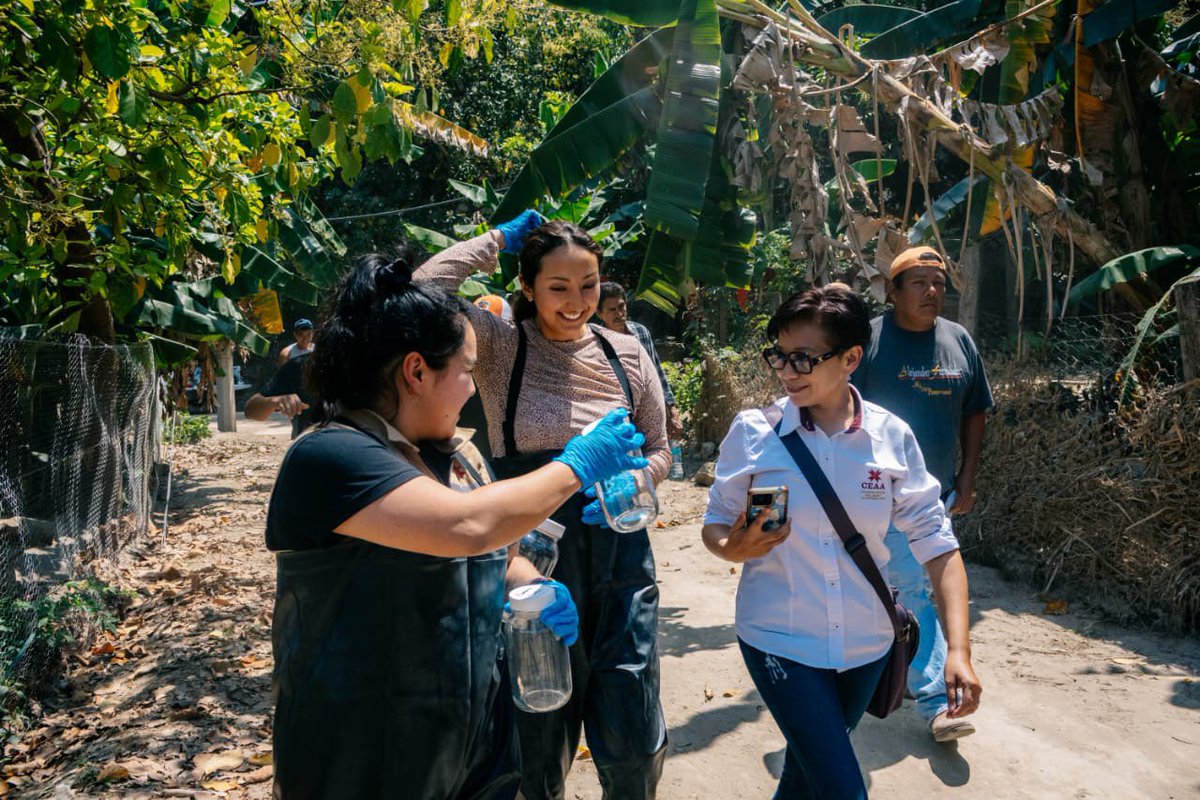 CEAA HGO tweet media