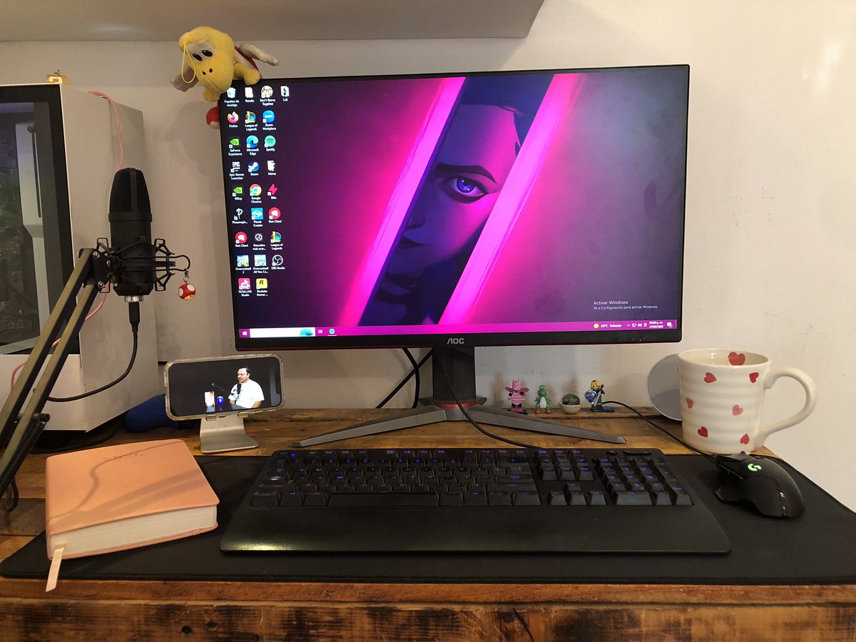 Renata Villarreal tweet media