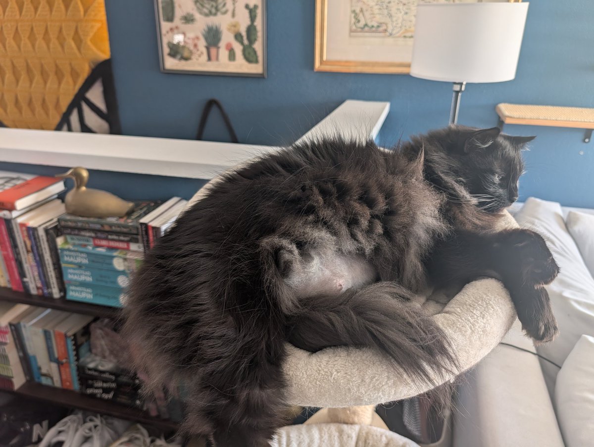 Emilio Garcia tweet media