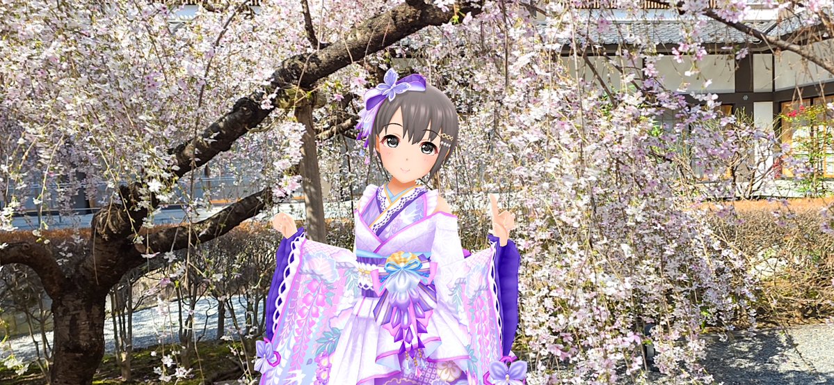 桐古堂 tweet media