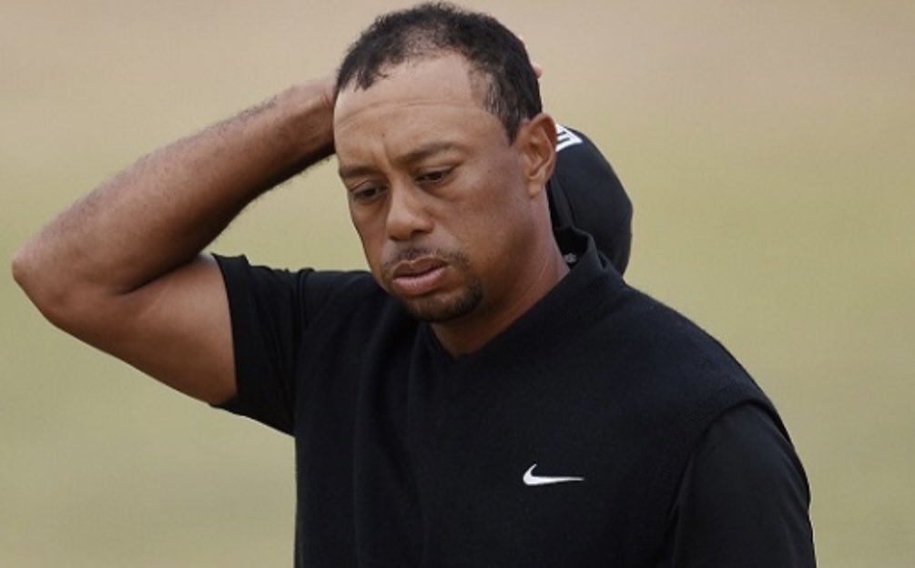 Dash Riprock 🇺🇸 tweet media