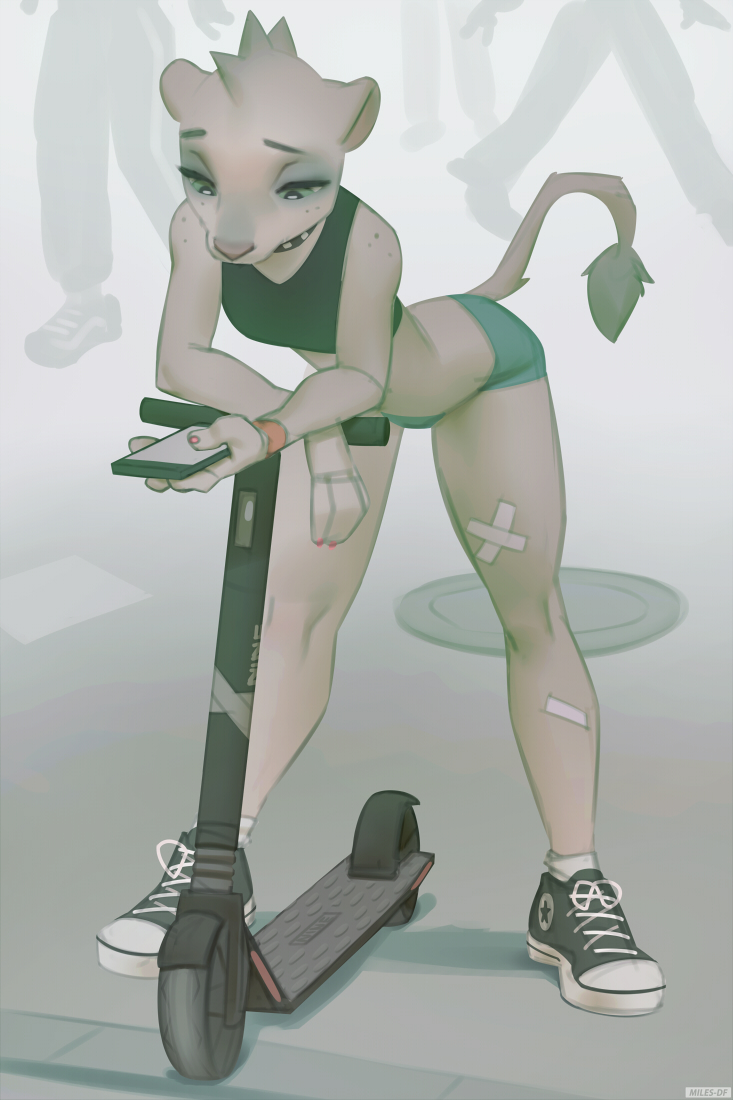 Miles-DF tweet media