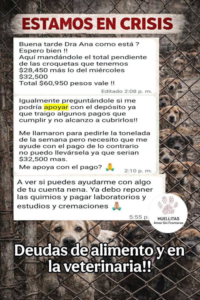 Huellitas amor sin fronteras tweet media