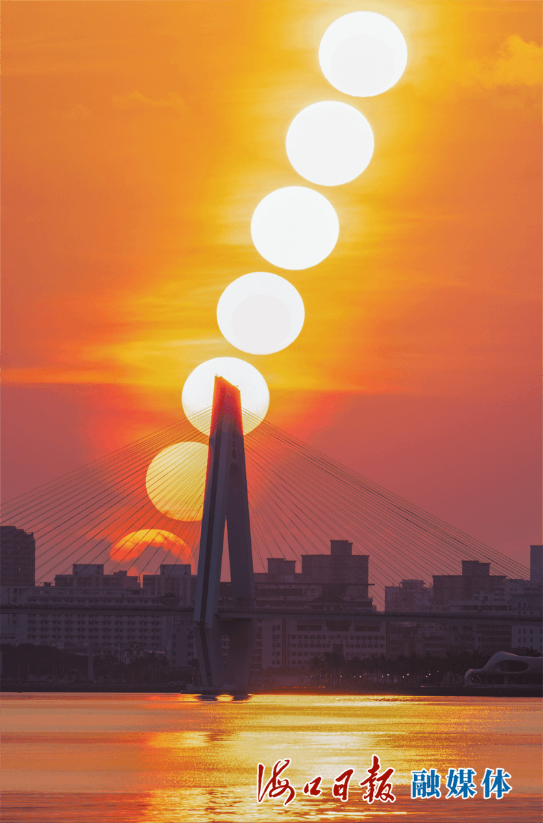 celina g.p.arruda tweet media