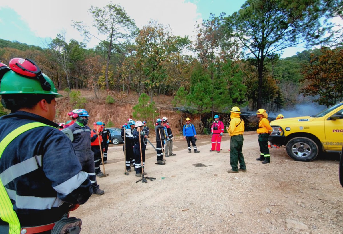 PROBOSQUE tweet media