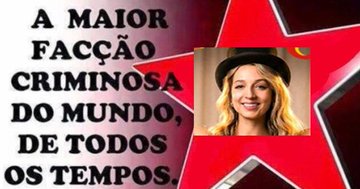 ncastro☭ tweet media