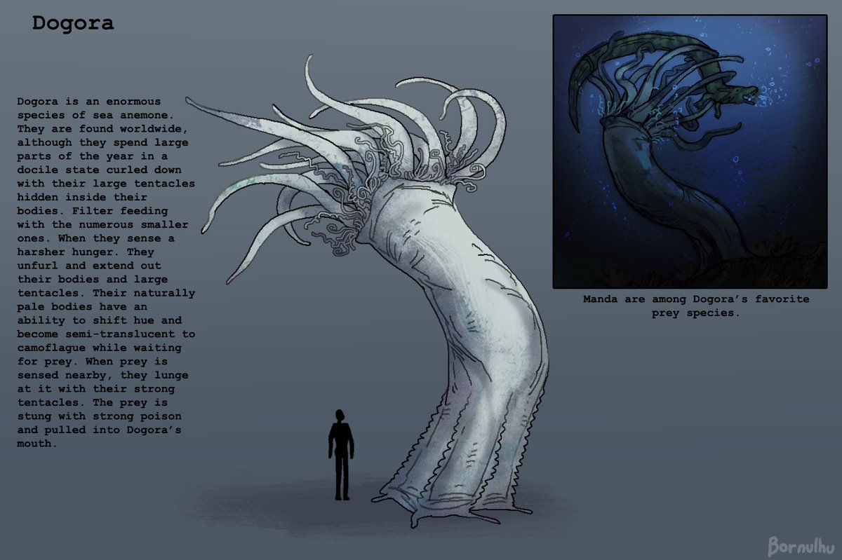 Bornulhu tweet media