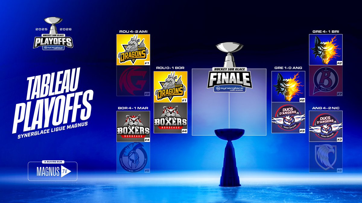 Synerglace Ligue Magnus tweet media