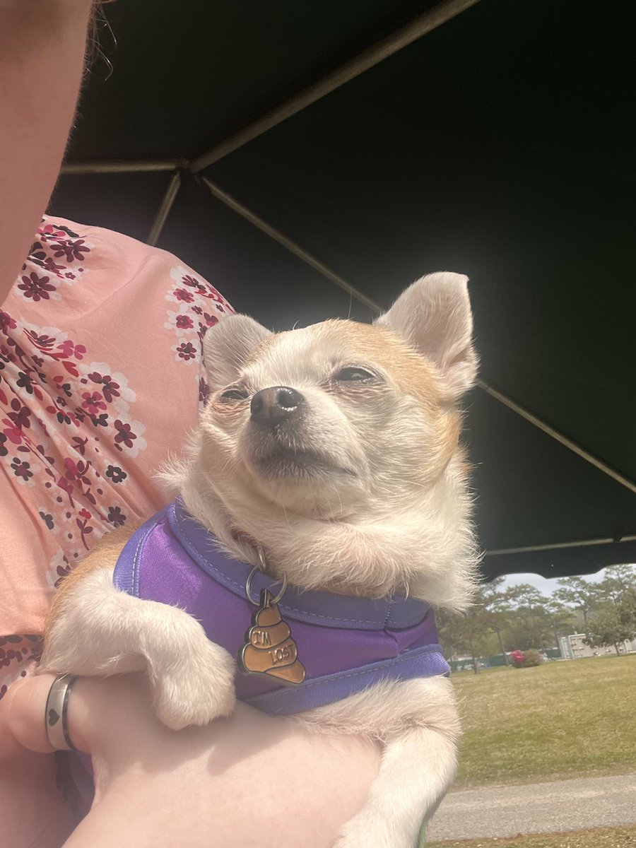 Disaster tweet media