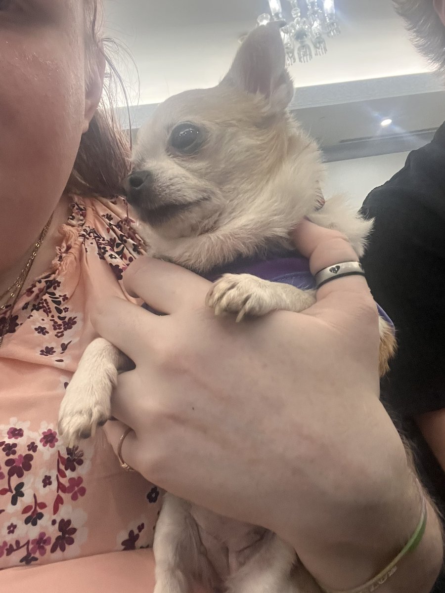 Disaster tweet media