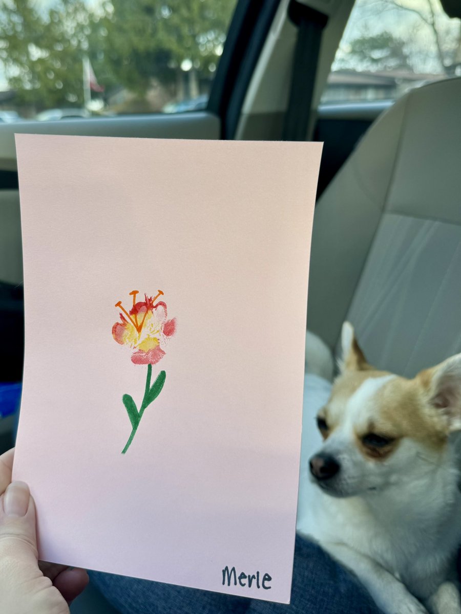 i’m normal tweet media