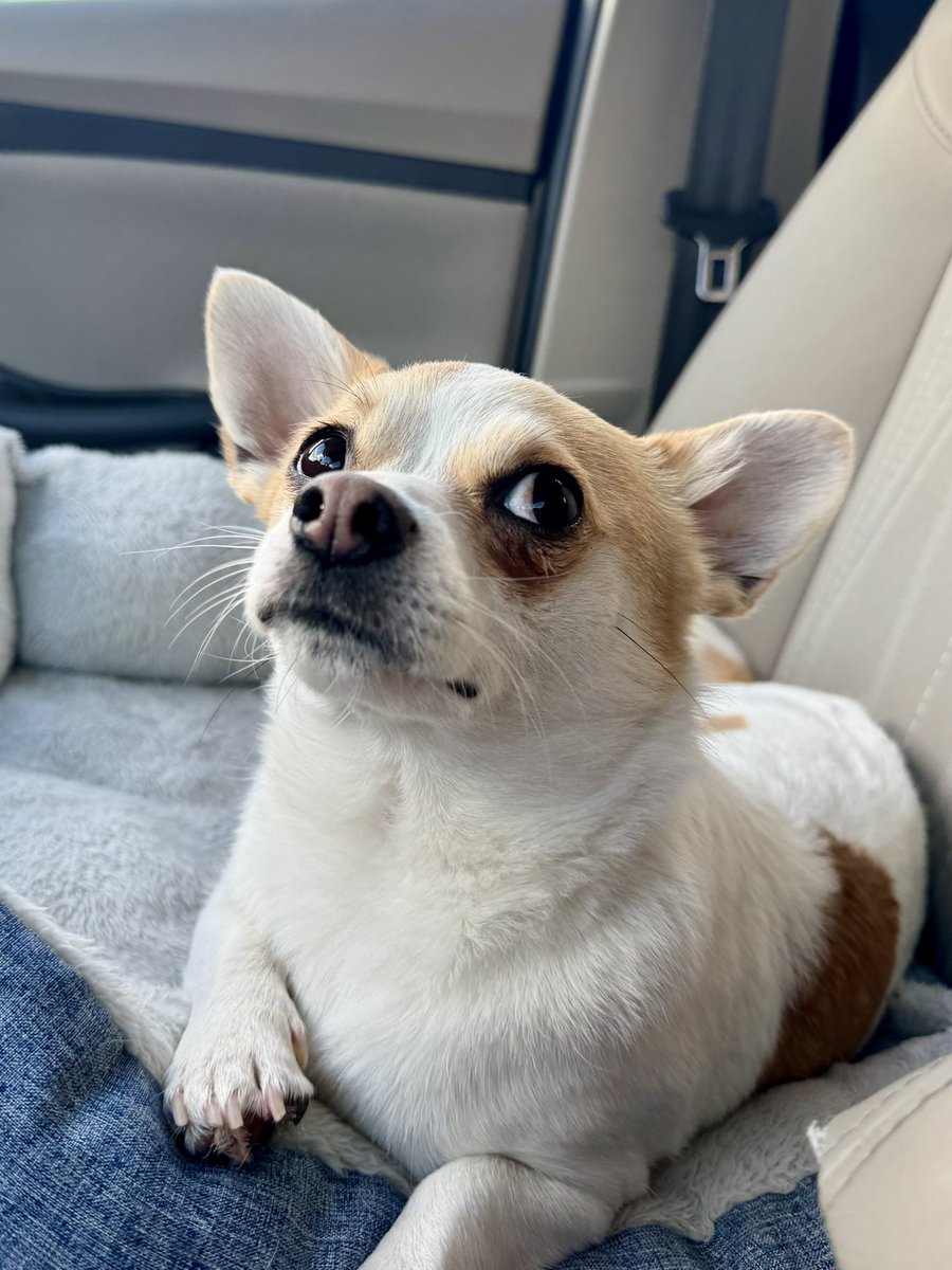 i’m normal tweet media