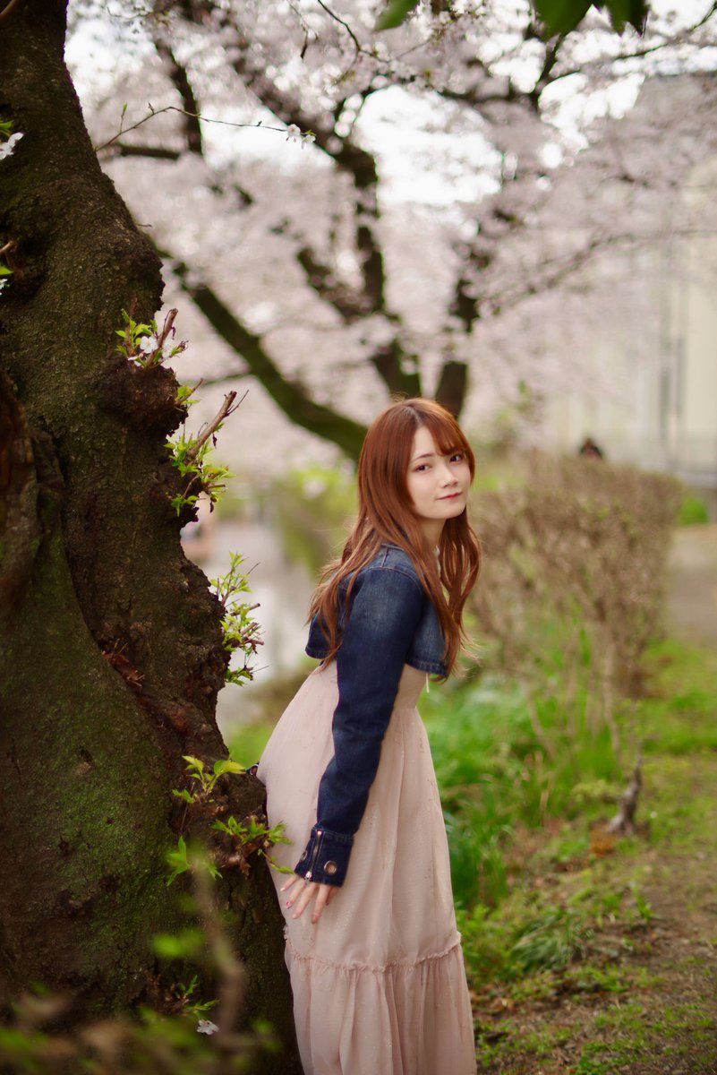 kentuke_Photo tweet media