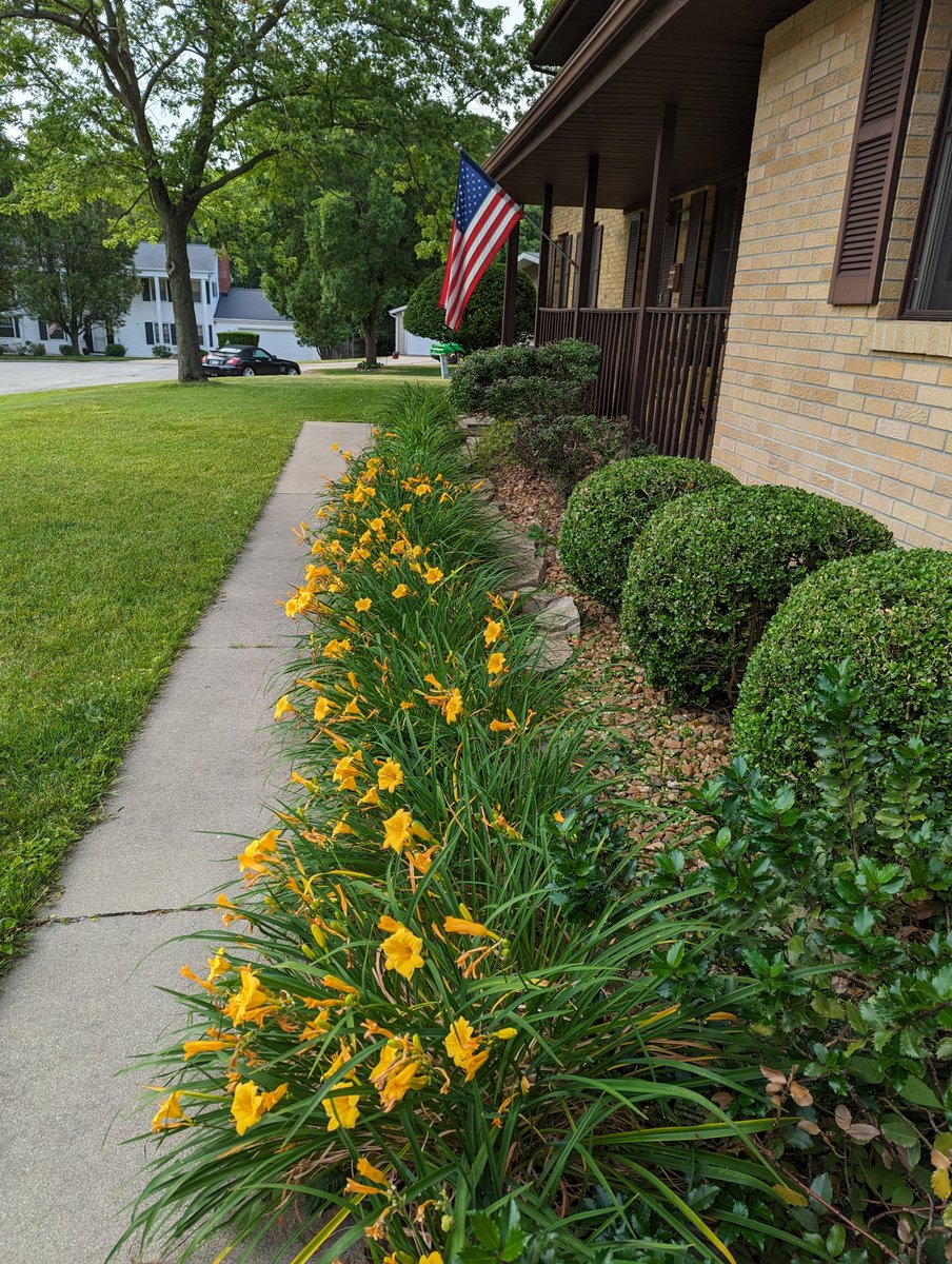 Kix Norris tweet media