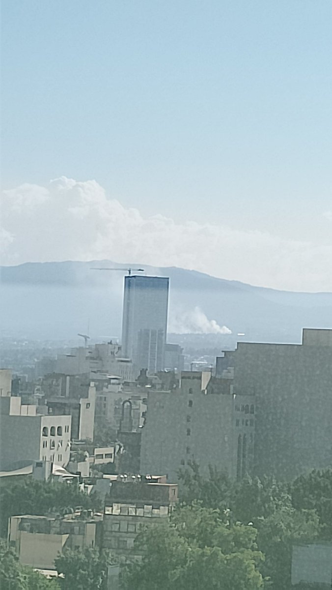 donnavedder tweet media