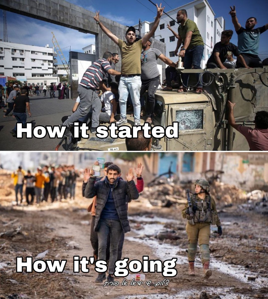 Leonardo De Carpion tweet media