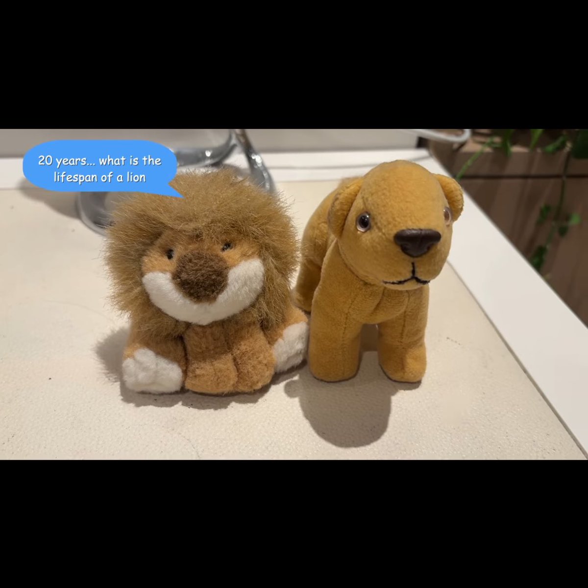 eden ⛧ tweet media