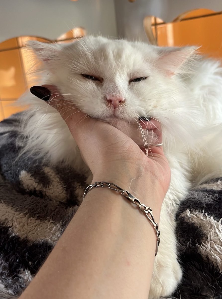 ixtab⋆ﾟ tweet media