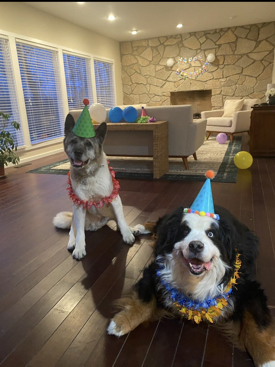 Rebecca and Moon Dog🌙🐾 tweet media