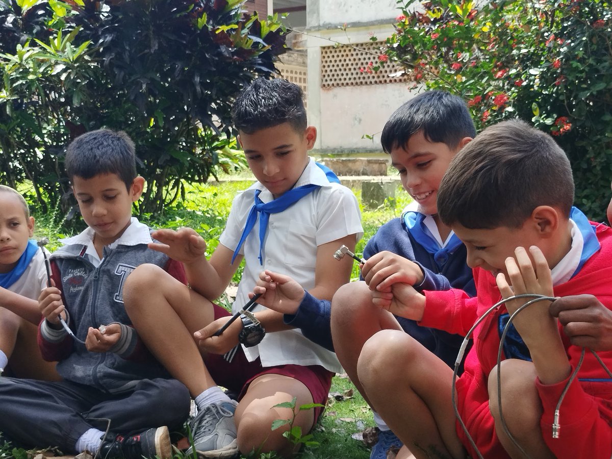 Mayrelis tweet media