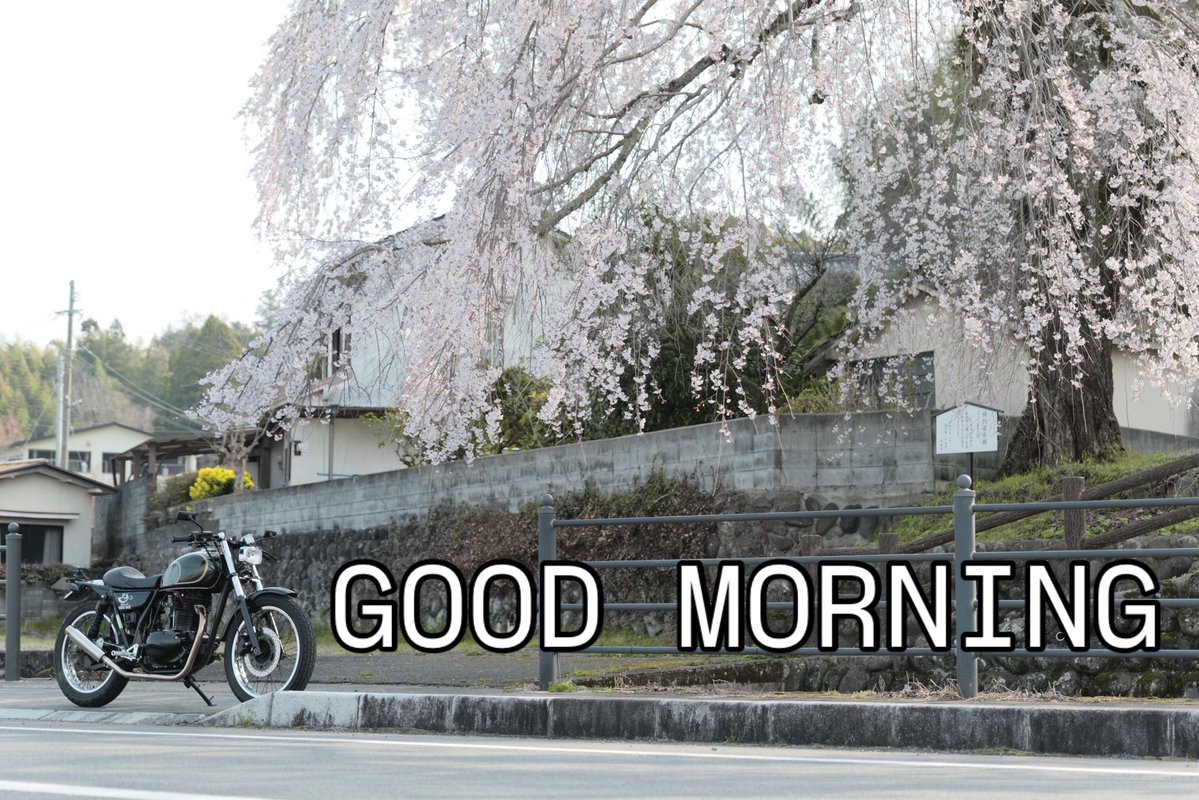 Rider'sCafe CORSE BASE tweet media