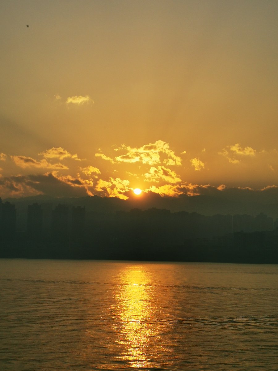 Century Cruise tweet media