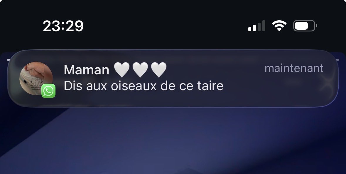 saf 𝜗𝜚 tweet media