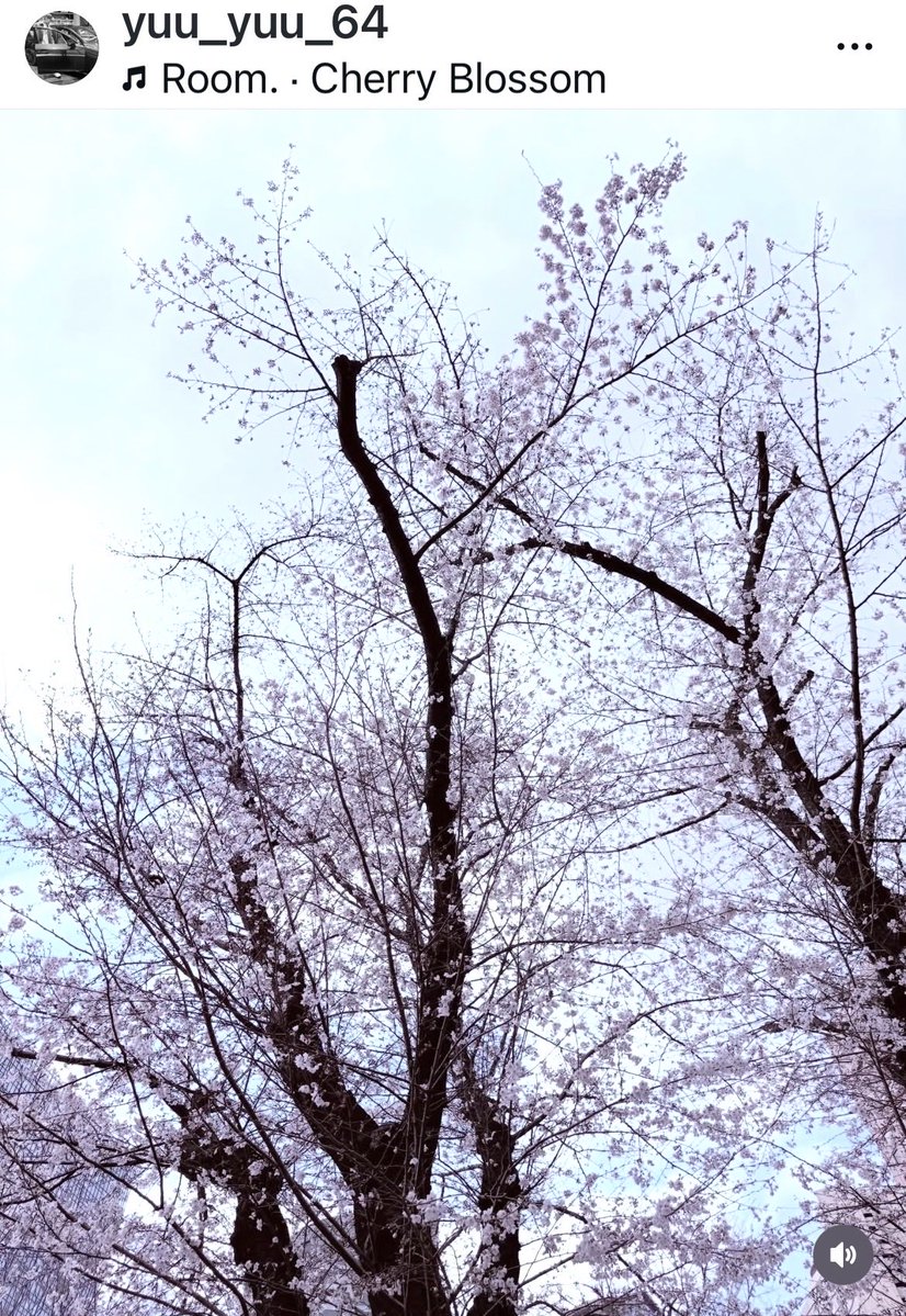 🌻おこたん🌻 tweet media