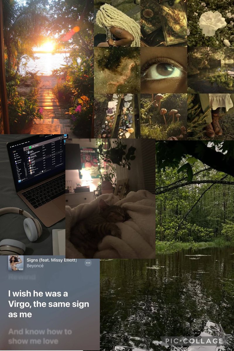 3motionalshawty 🦢🇭🇹🇵🇸 tweet media