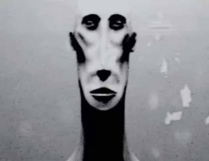 fracasado de mierda tweet media