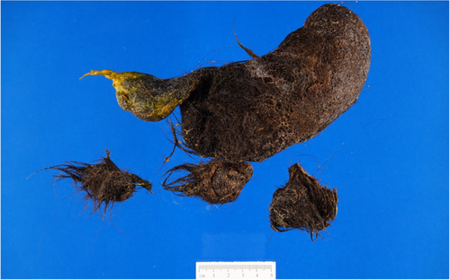 JPGN Reports tweet media