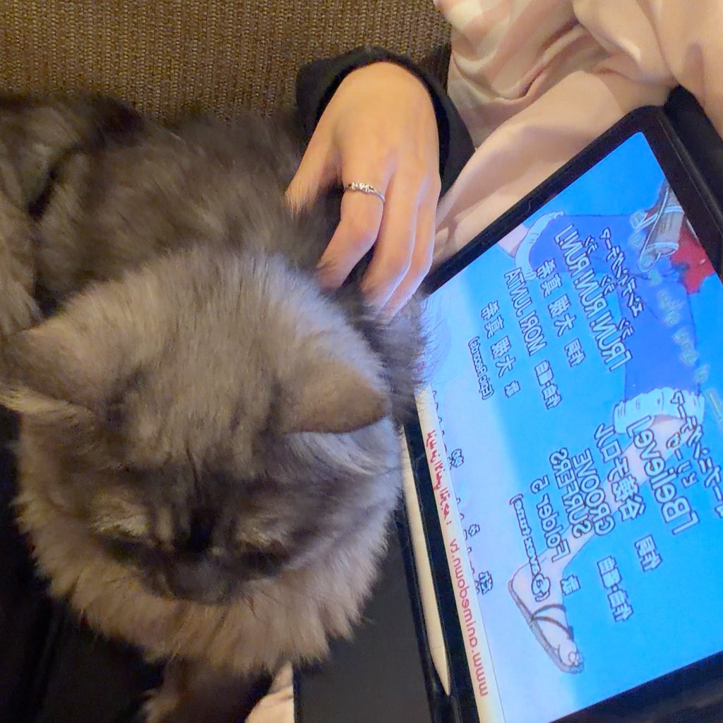 구미호 Loba tweet media