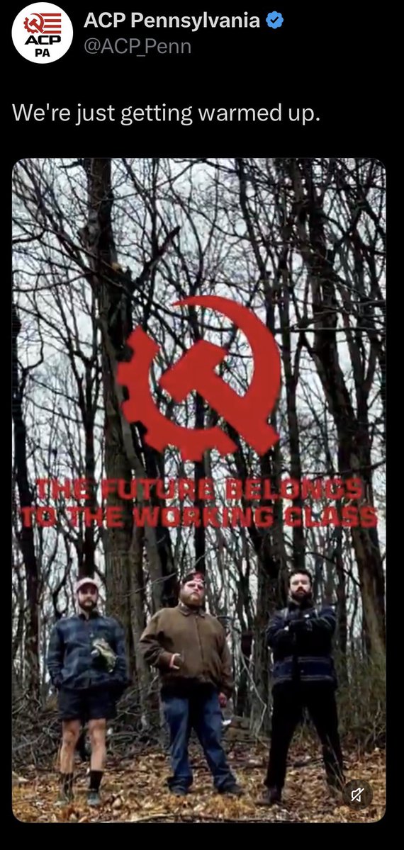 patrick p tweet media