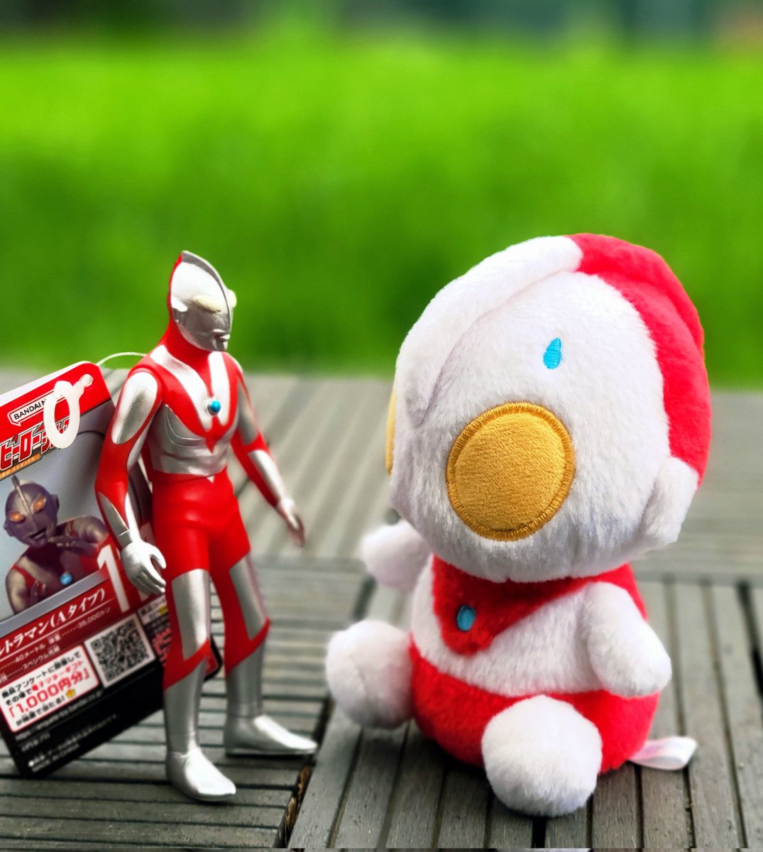 アルバ😋 tweet media