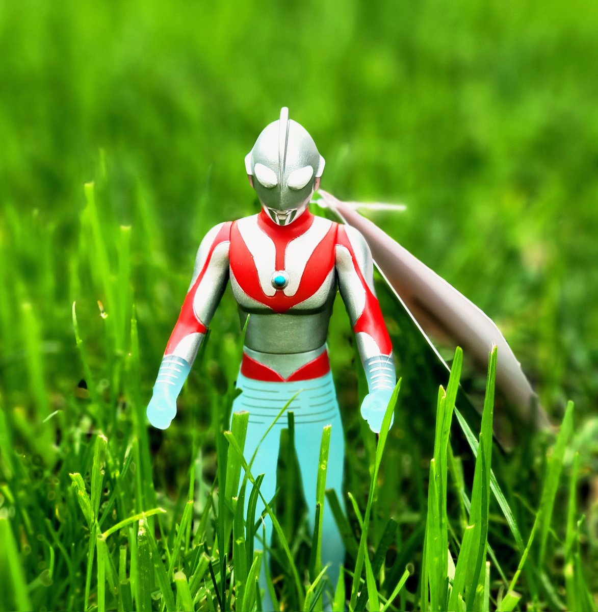 アルバ😋 tweet media