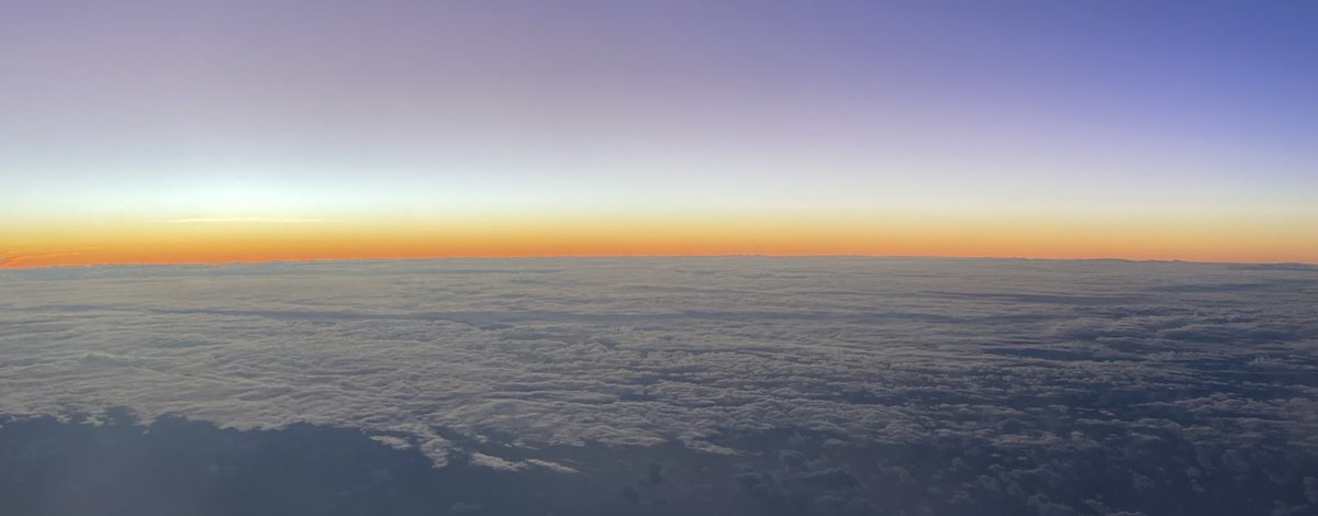 نجمة tweet media