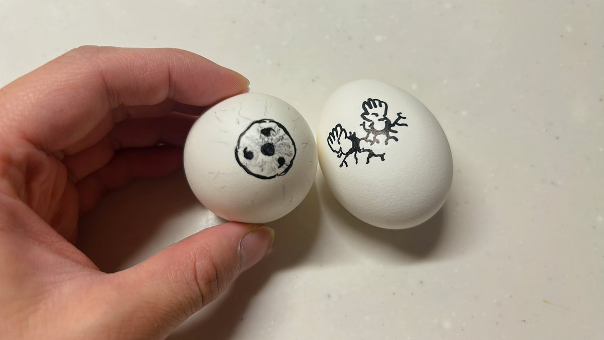 ぱむ丸 tweet media