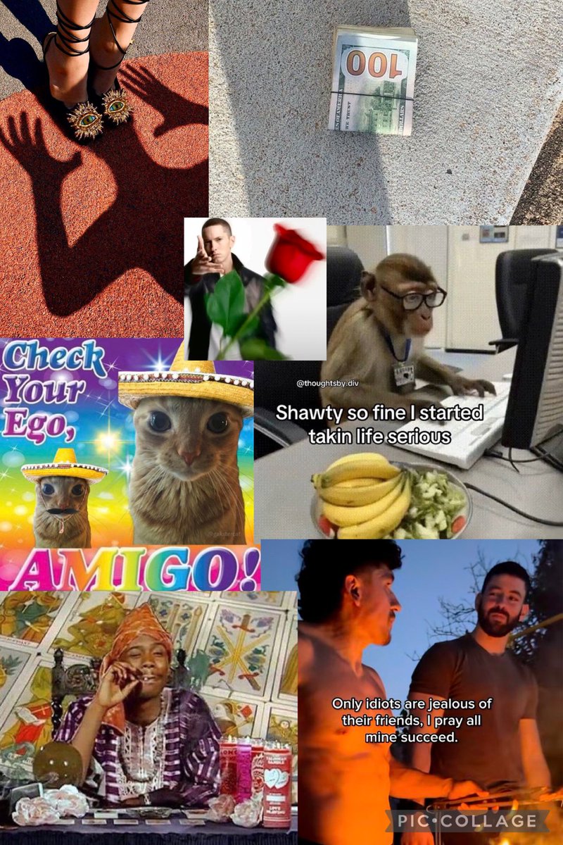 3motionalshawty 🦢🇭🇹🇵🇸 tweet media