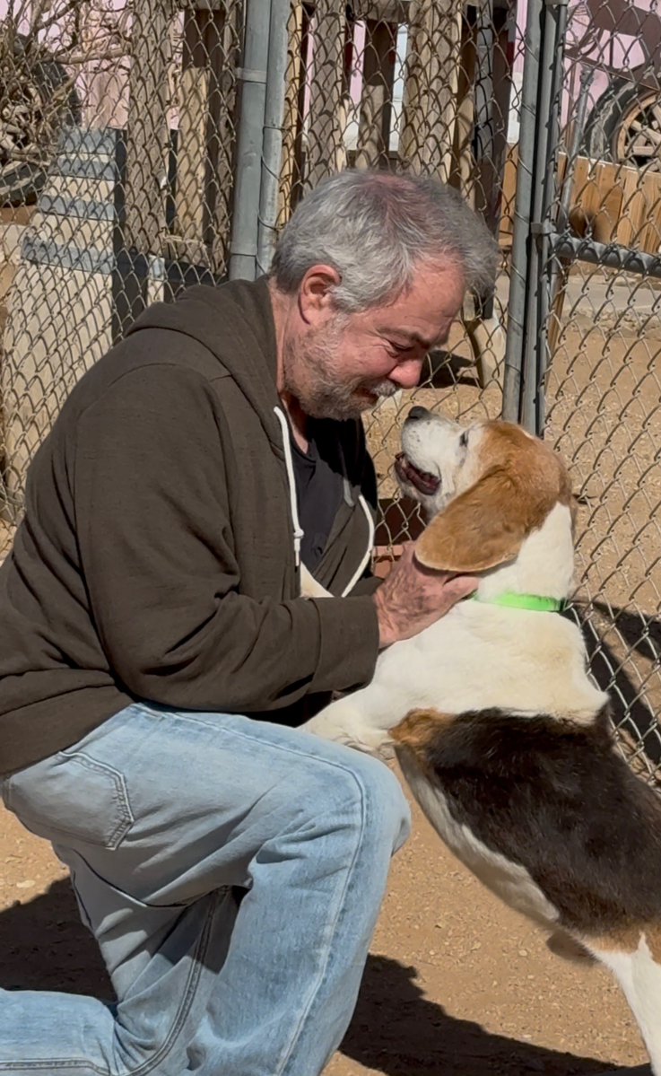 The Shallow State tweet media