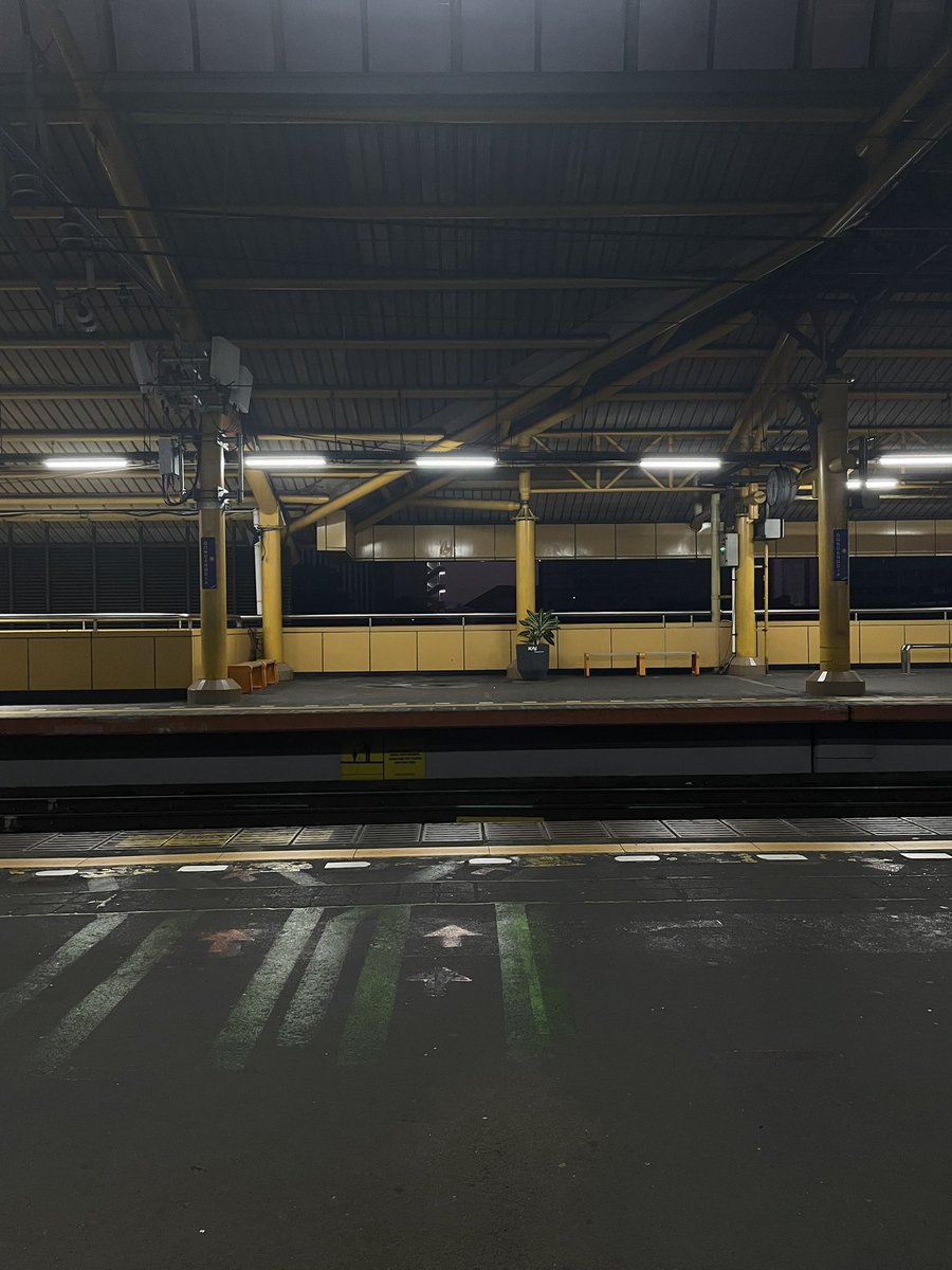 anoyy🥔🐰 tweet media