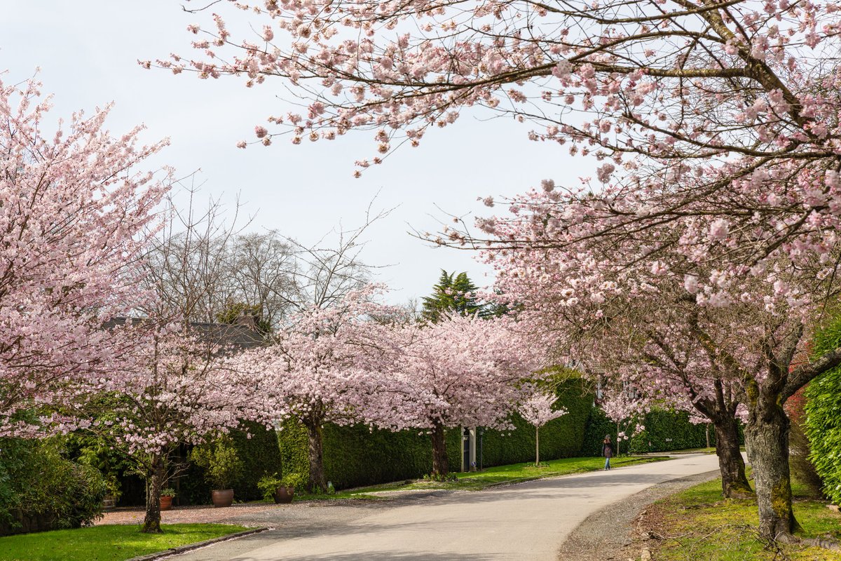 زهرمار tweet media