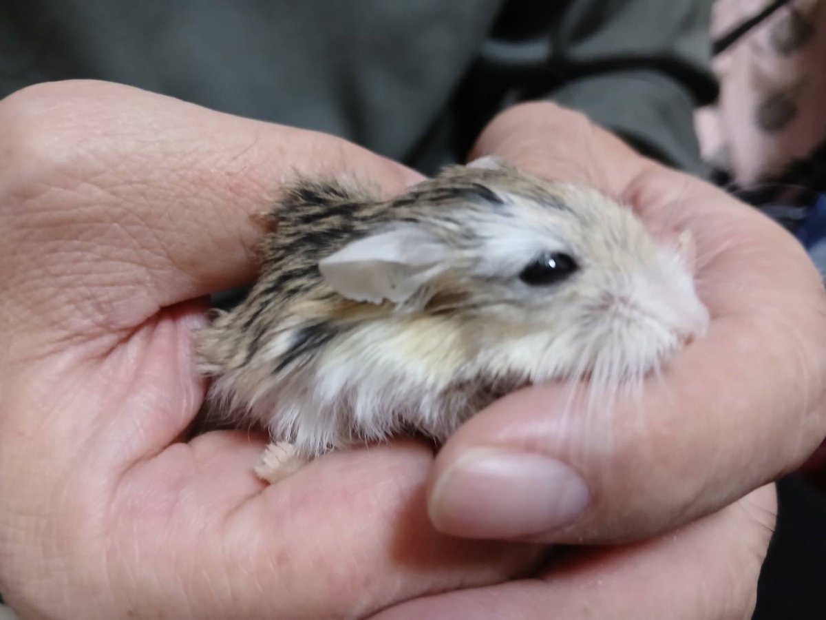 ⚽️なべさん⚽️ tweet media