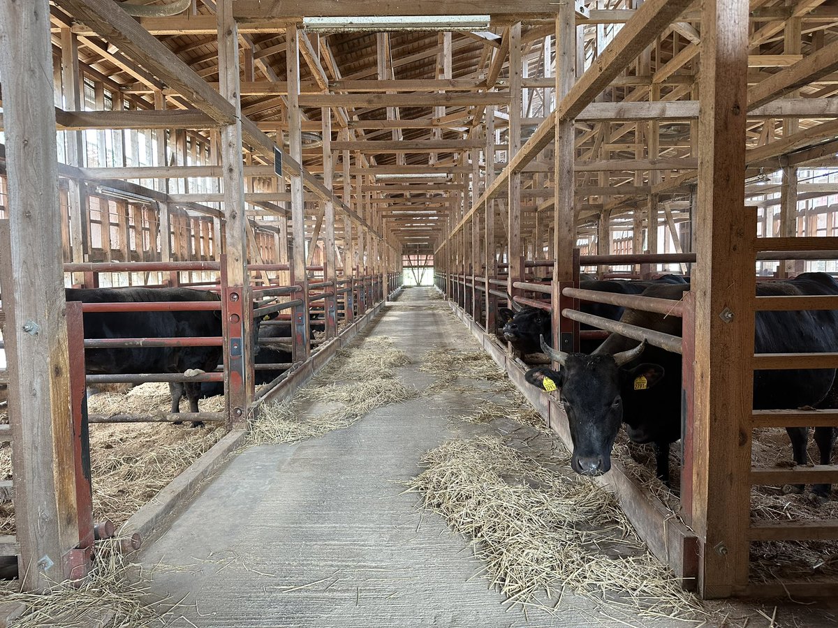 ゆうすけ tweet media