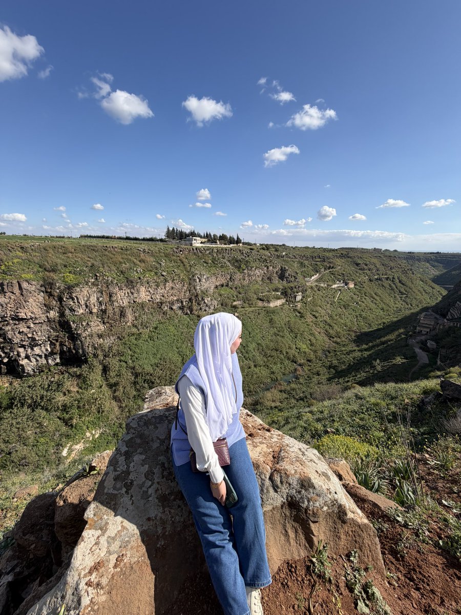 آلاء |📟🇸🇾💚 tweet media