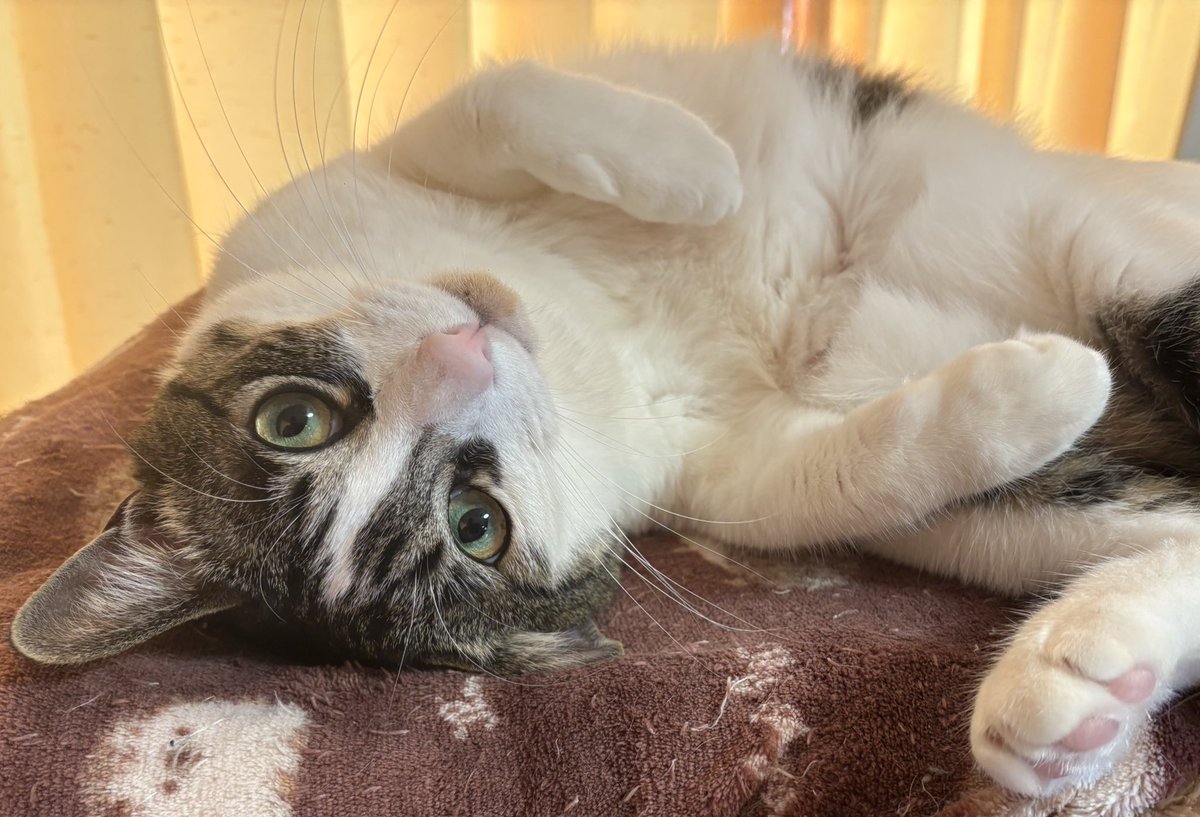 あいぴょん💖公式 ⸜(*˙💋˙* )⸝💕 tweet media