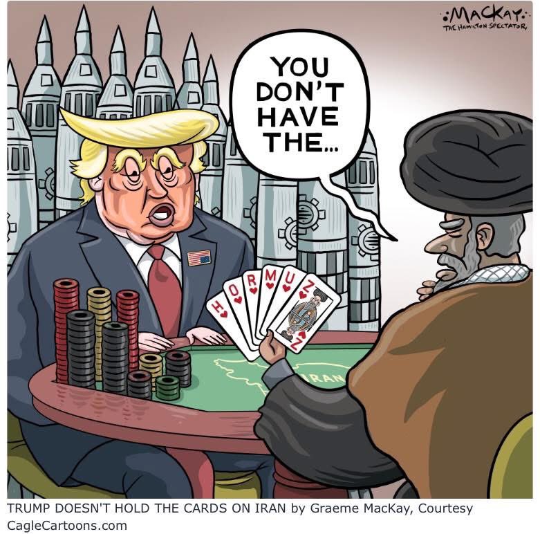 Leebee14 🇺🇸🧢 tweet media