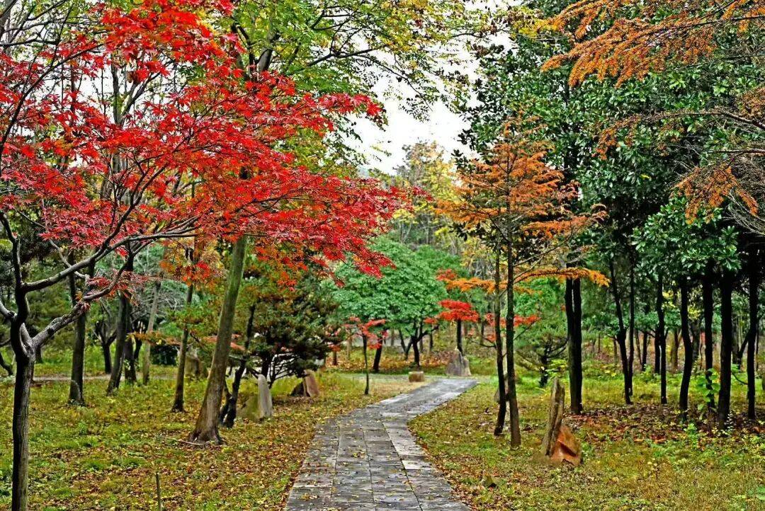 Richard Craig tweet media